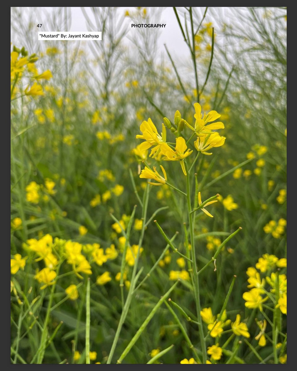 Jayant Kashyap: NOTES ON BURIALS out now! tweet media