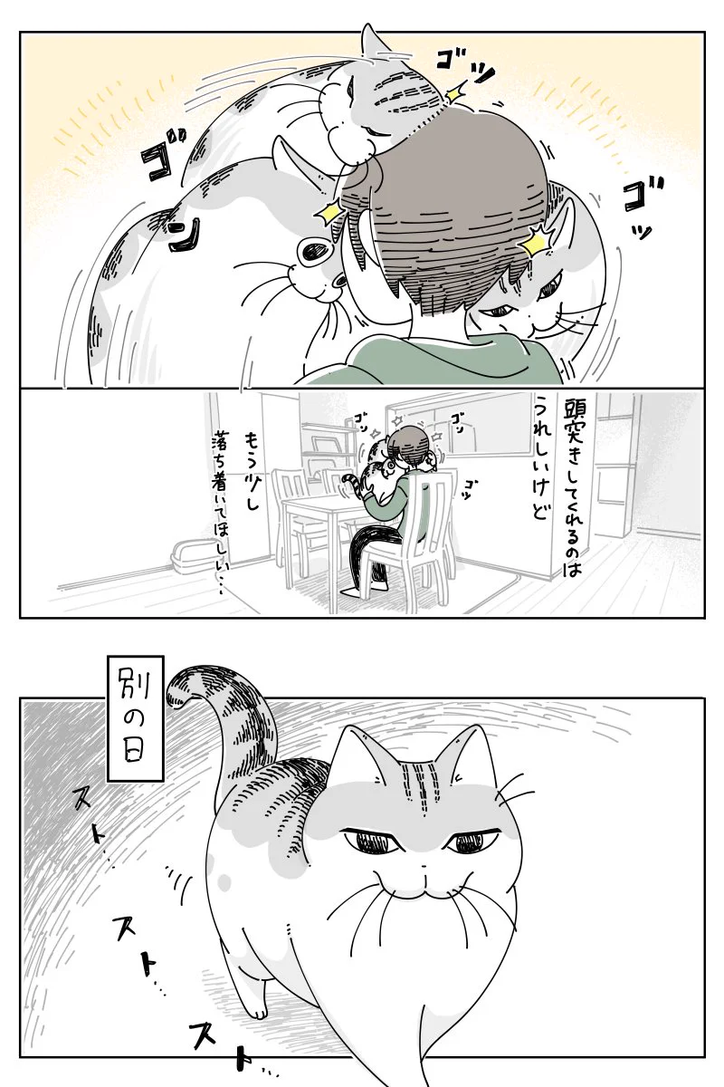 ハイテンションな頭突きも落ち着いた頭突きも、すごく可愛い！可愛くて癒される「猫漫画」が話題に！