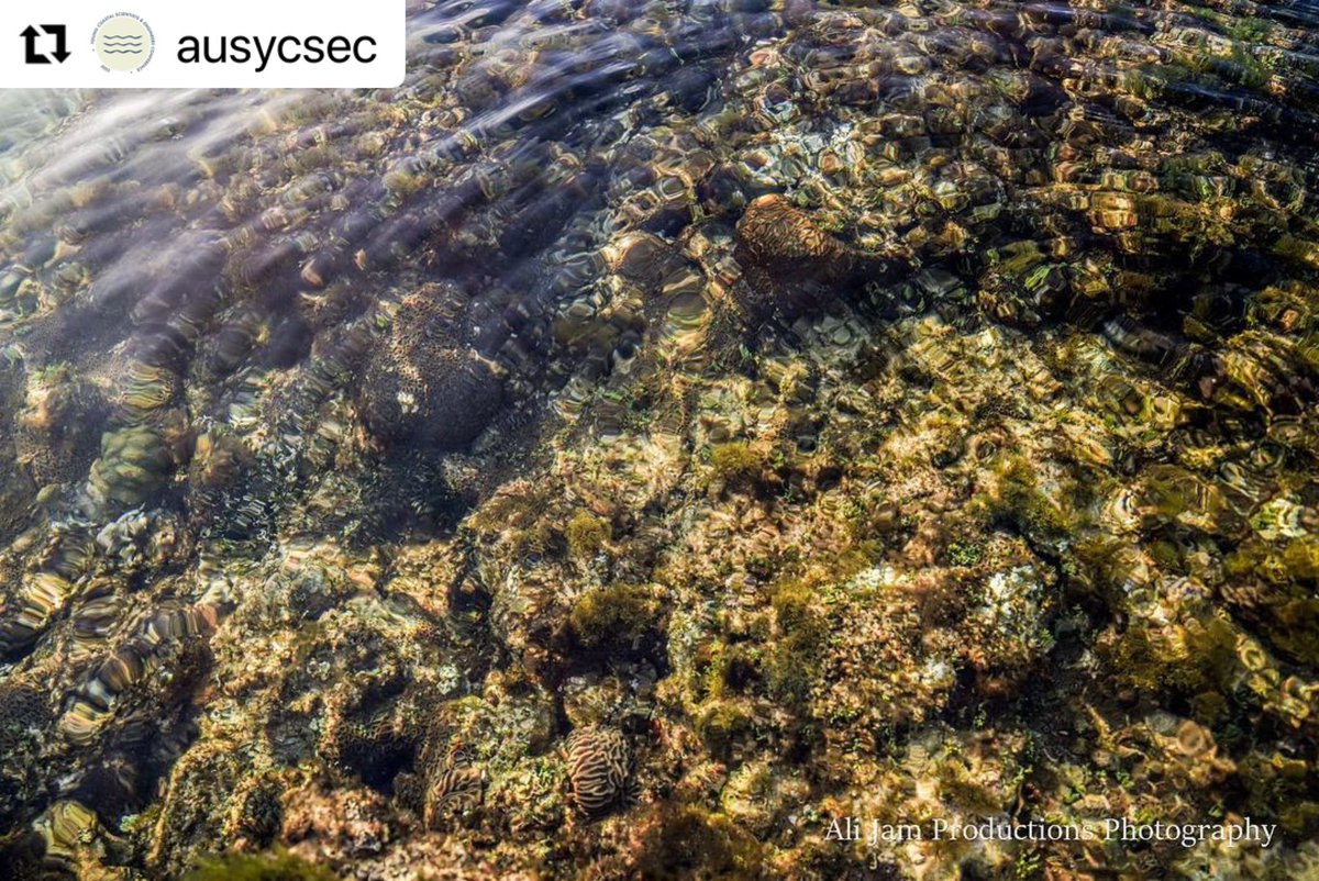 AusYCSEC's tweet photo. #ausycsec2023 Fun Fact Friday! - Norfolk Island located in the Pacific Ocean just off the Australian Queensland Gold Coast between New Zealand and New Caledonia has one of the most southerly coral reefs in the world and is also surrounded by an Australian Marine Park 🐠🐟🪸 https://t.co/paAY2JCgBs