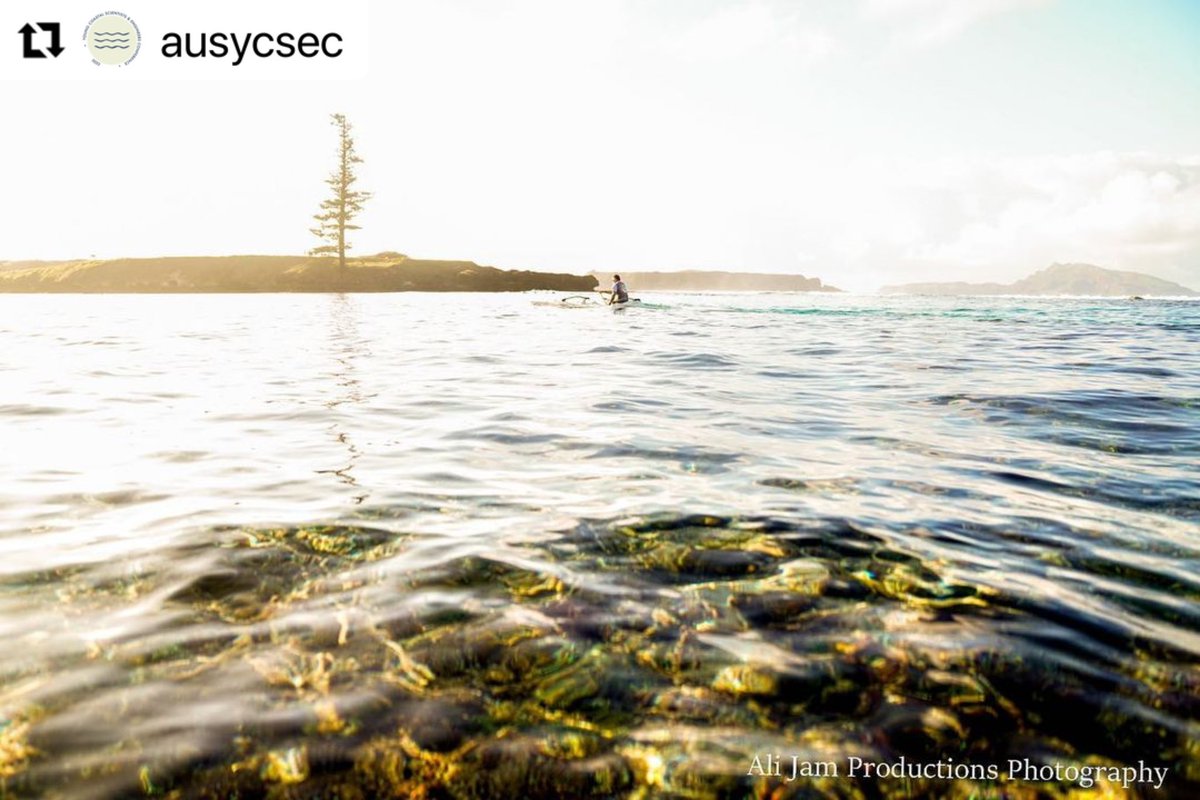 AusYCSEC's tweet photo. #ausycsec2023 Fun Fact Friday! - Norfolk Island located in the Pacific Ocean just off the Australian Queensland Gold Coast between New Zealand and New Caledonia has one of the most southerly coral reefs in the world and is also surrounded by an Australian Marine Park 🐠🐟🪸 https://t.co/paAY2JCgBs