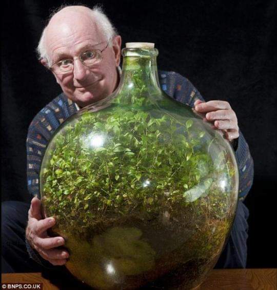 historydefined's tweet photo. This miniature ecosystem has been thriving in an almost completely isolated state since 1960. It has been watered just once in that time. https://t.co/C3cLviLD21