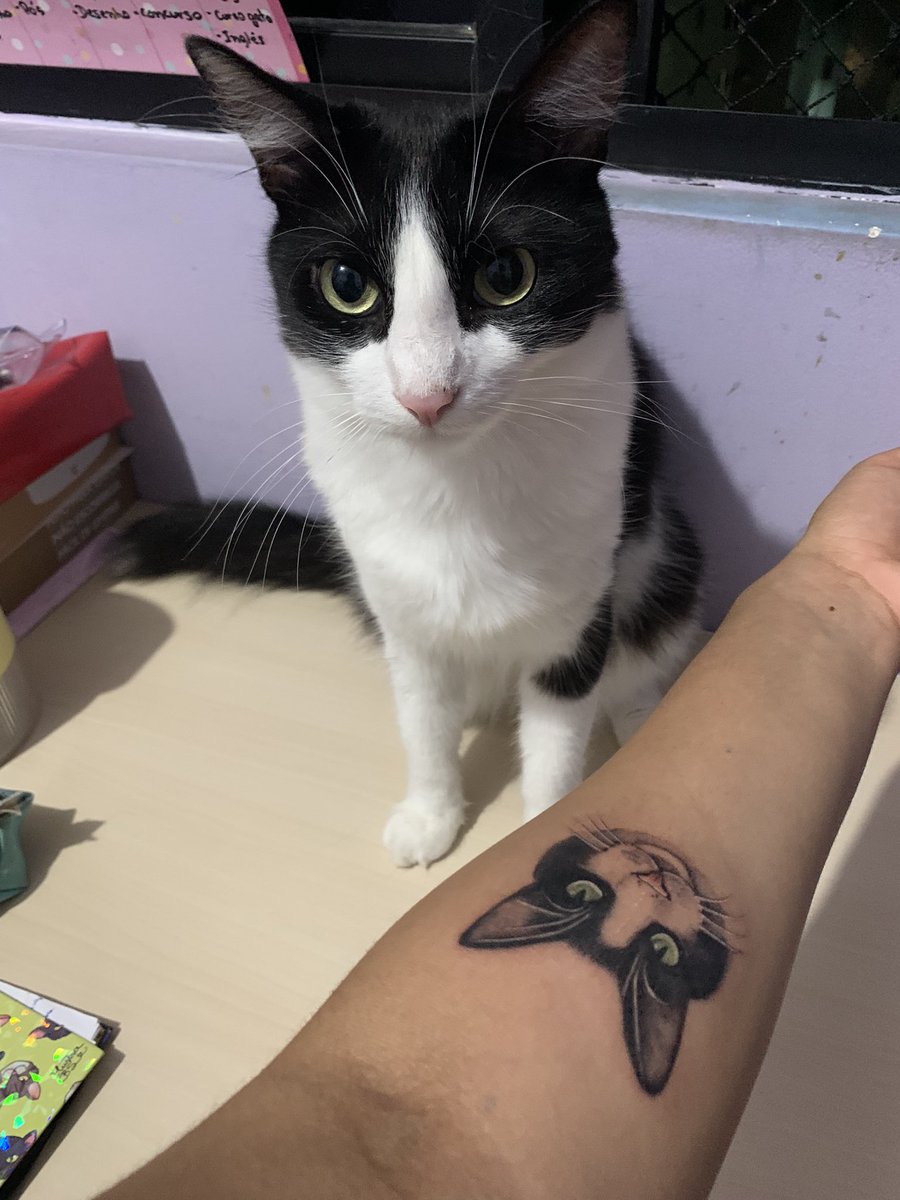 mari_alves_'s tweet photo. Ai fui fazer meu filho 🥺💛, ta tao lindo https://t.co/926NzQE50h