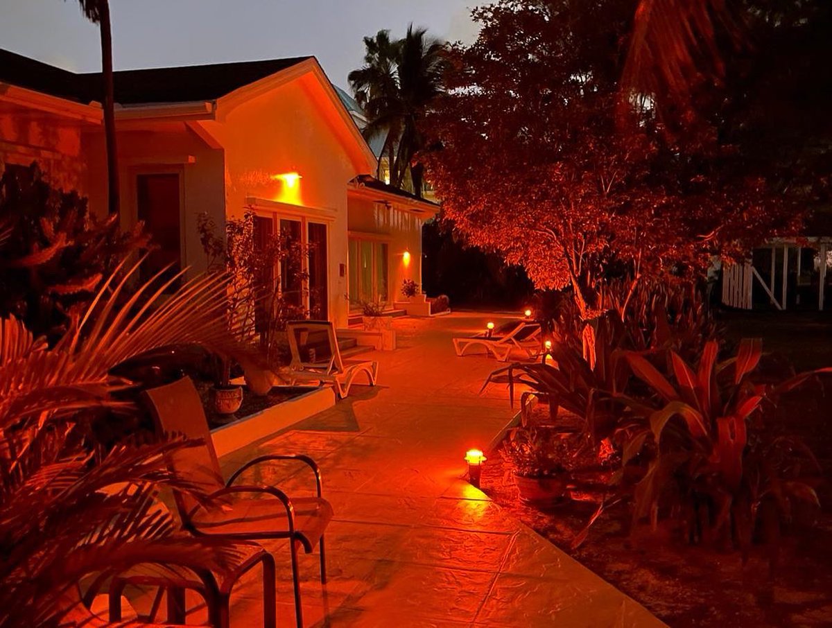 Martyn Roper tweet media