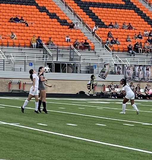 Steven Greek tweet media