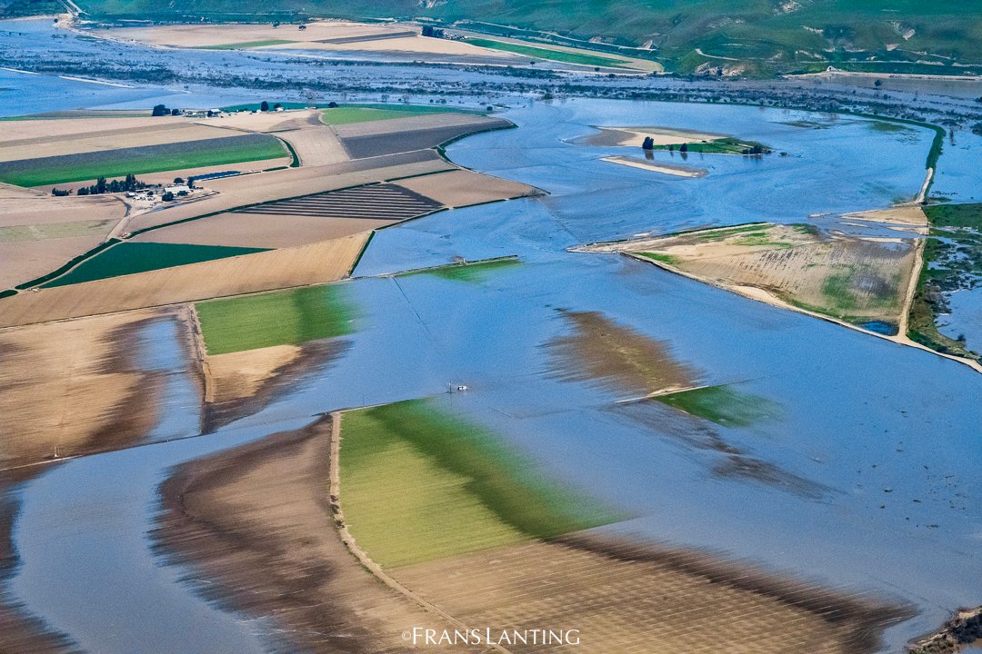 Frans Lanting (@lantingfrans) on Twitter photo In dry years the #SalinasRiver is not more than a trickle of water hemmed in by low levees. It's reclaimed its historic floodplain covering thousands of acres of ag/crop land. It will be months before the consequences become clear. Photo by <a href="/LantingFrans/">Frans Lanting</a>
#ClimateChange #nature In dry years the #SalinasRiver is not more than a trickle of water hemmed in by low levees. It's reclaimed its historic floodplain covering thousands of acres of ag/crop land. It will be months before the consequences become clear. Photo by <a href="/LantingFrans/">Frans Lanting</a>
#ClimateChange #nature