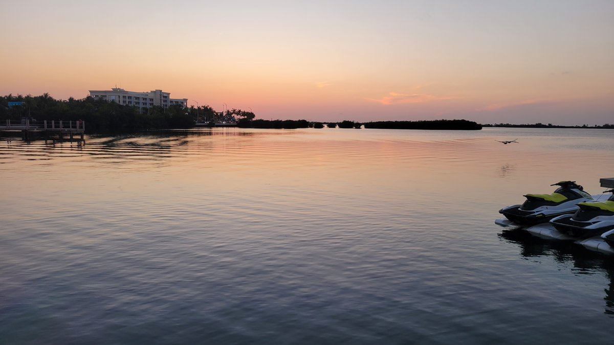 TeamVicarious's tweet photo. The Team did our first nighttime kayak adventure and loved it! The glass-bottomed, lighted kayaks are a great way to view sea life at night. The guide brings you into the mangroves and points out barracudas, sharks, lobsters, and more. The tour is an hour long and is fascinating. https://t.co/oDlUUn8o17