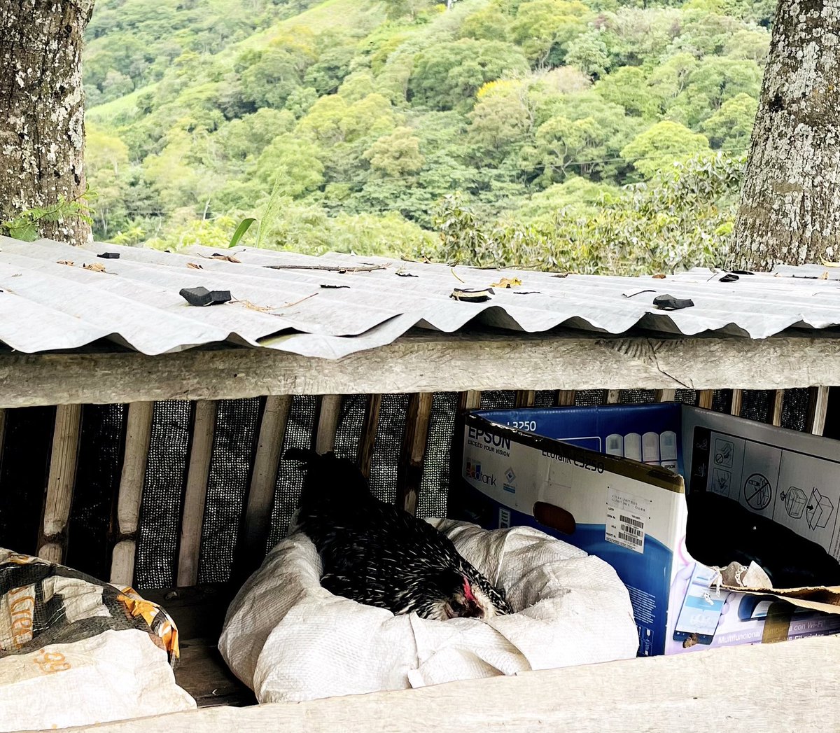 DeicyC✍️ tweet media