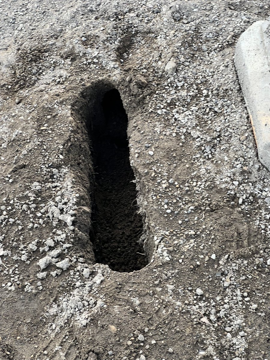 Darwinstruth tweet media