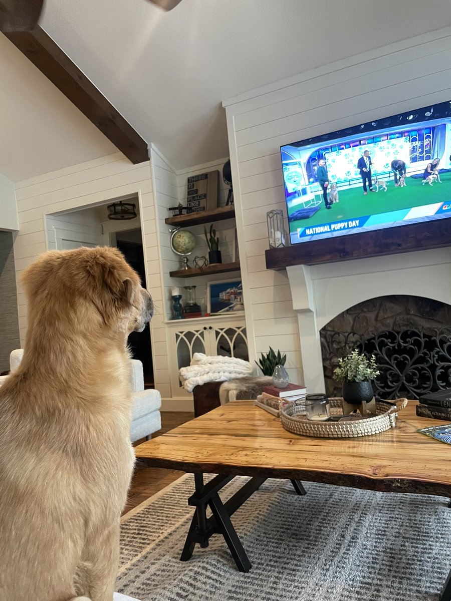 Angela Vargo tweet media