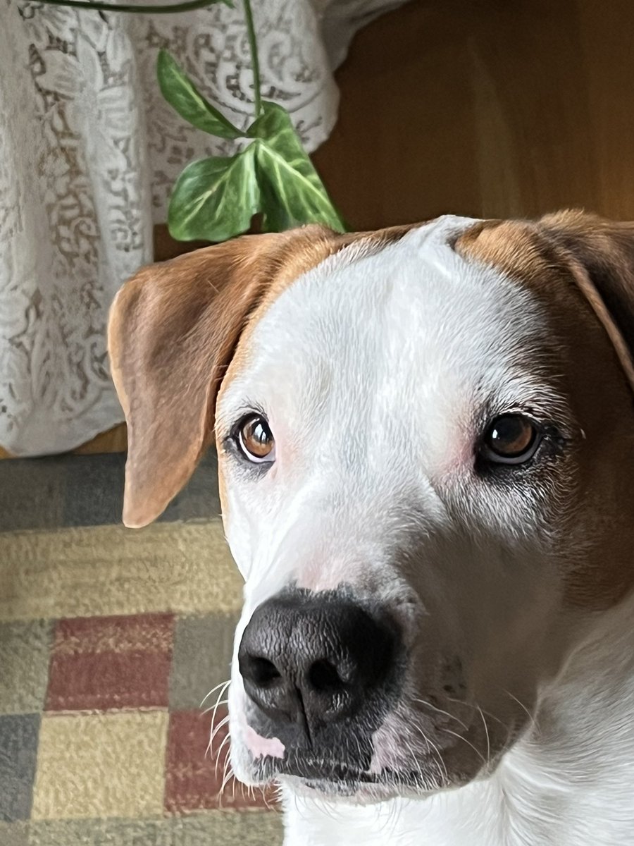 Christie Katora tweet media