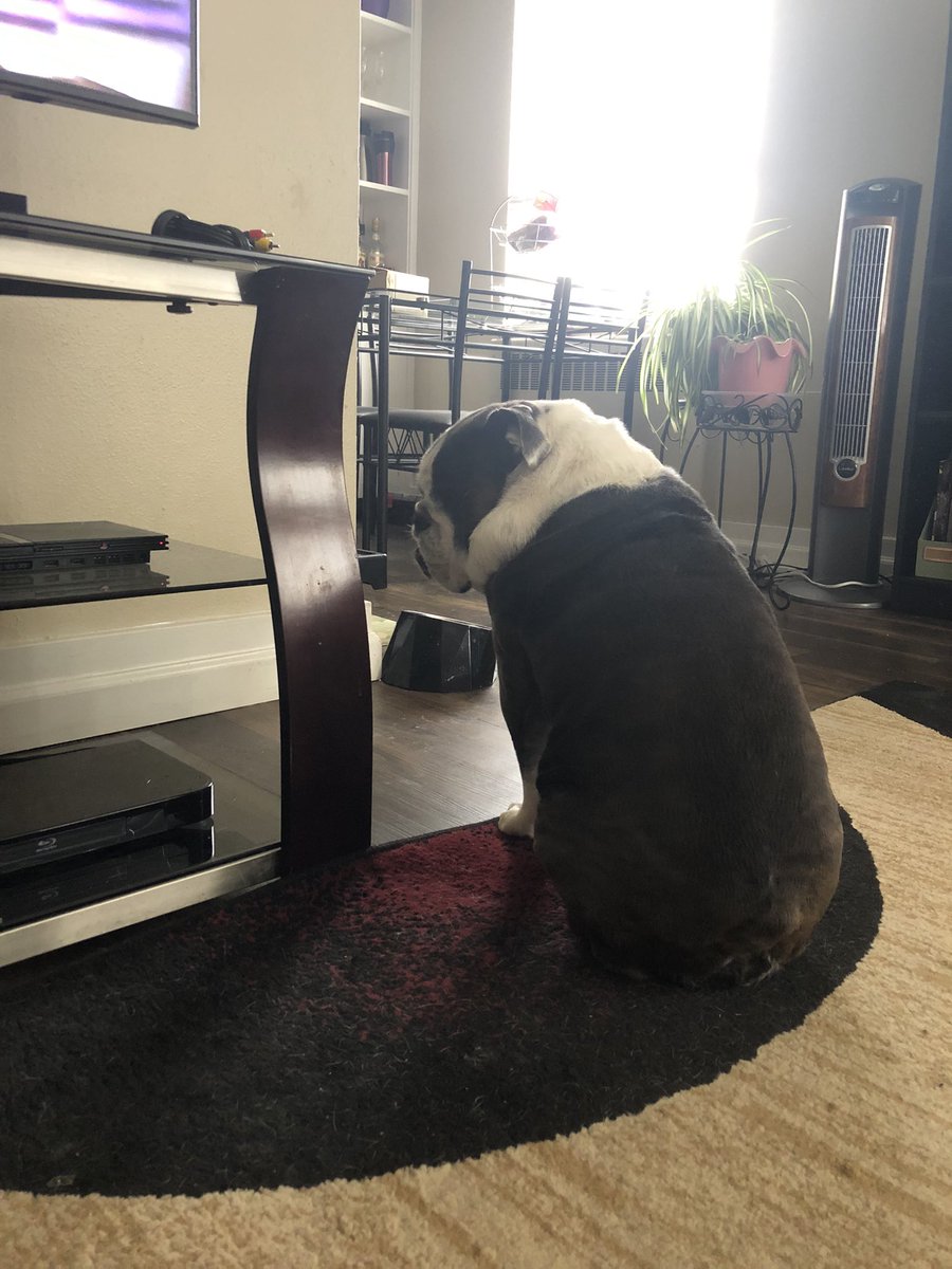 When you are starving and your mom says you have to wait until the end of Mich St v Kansas St #MarchMadness