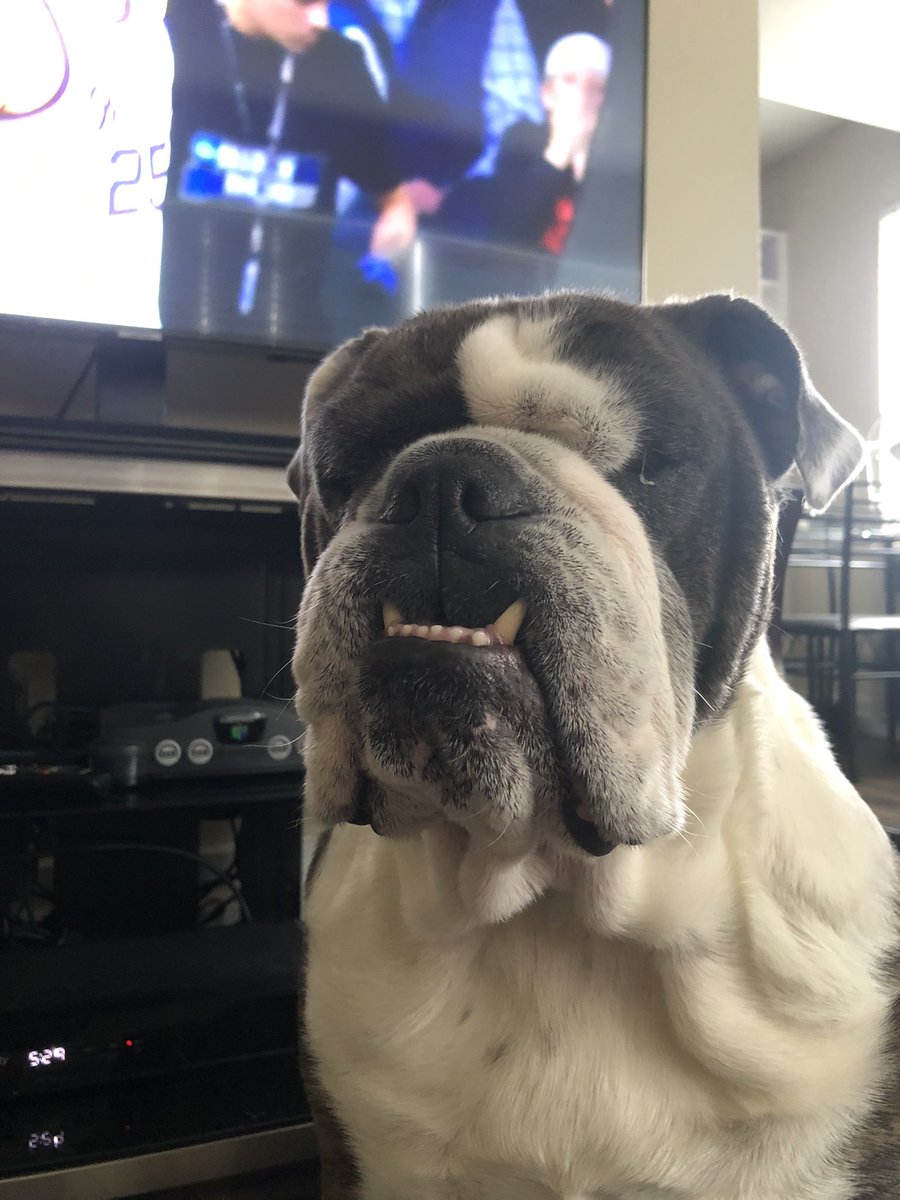BogartBulldog's tweet photo. When you are starving and your mom says you have to wait until the end of Mich St v Kansas St #MarchMadness https://t.co/uT7l7ExwSq