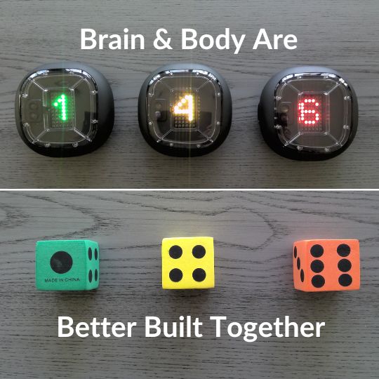 Funtensity's tweet photo. Brain and body better together. Low-tech and high-tech ideas for blending fitness training with brain training. Part 1 – Low Tech Options. Foam dice have never been so much fun.👉 https://t.co/5bNV0ojJjK 👈 #funtensity #brainhealth #foamdice #funfitness #brainfitness https://t.co/ePLzrihrDK