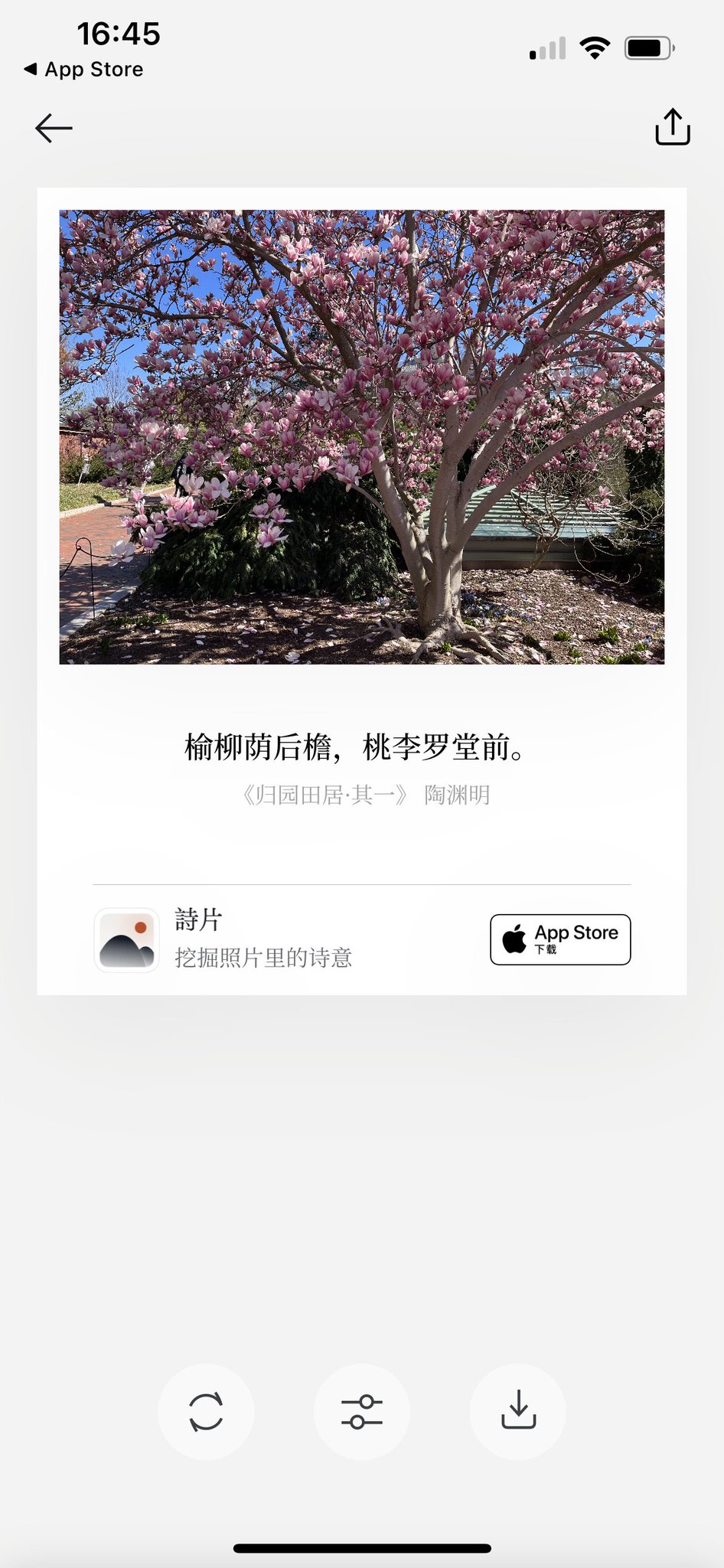 倪爽 on Twitter: