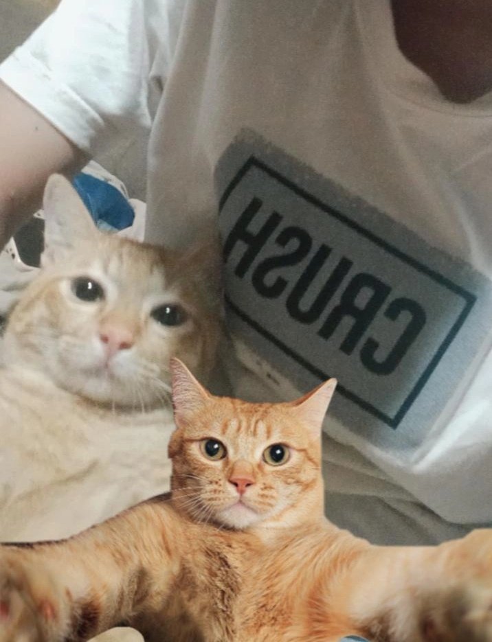 DefinPandiani's tweet photo. Kembarann😼 https://t.co/kBvgDmoDVY