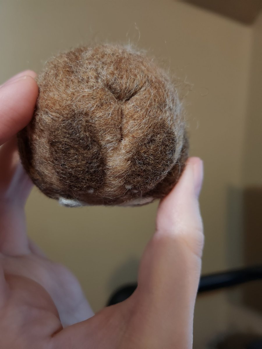 MitchGizzard's tweet photo. Him

#needlefelt #felted #paleomunchkin #cheeks #commsopen #sloth #feltart #felty https://t.co/qkvj1rxJje