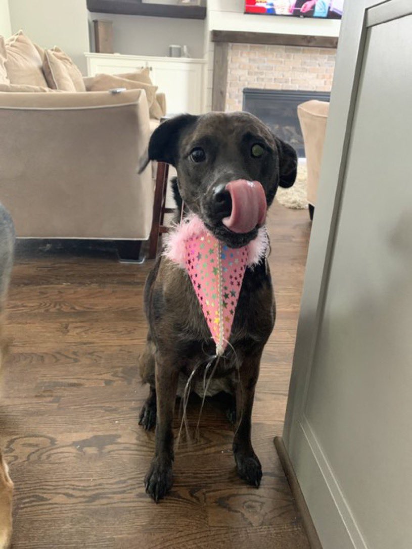 Pamela Padak tweet media