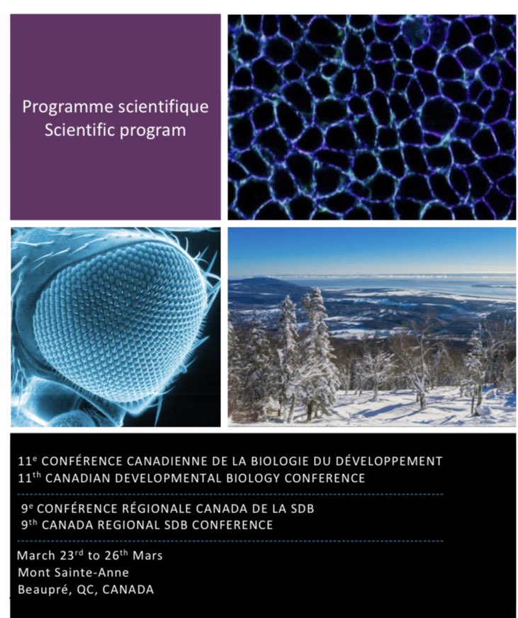 DERIVE is at the Canadian Developmental Biology meeting in the beautiful Mont Sainte-Anne! <a href="/SocDevBio/">Society for Developmental Biology</a>