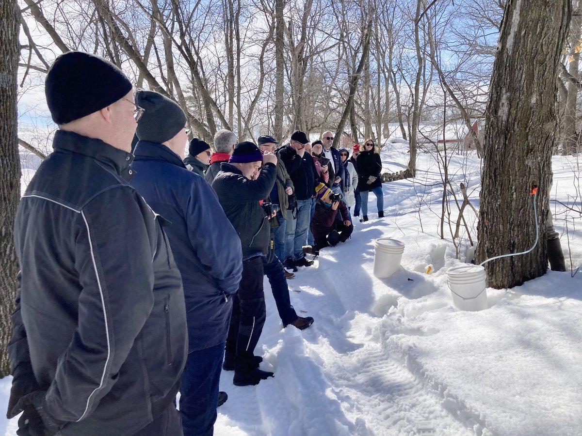 SapsuckerFarms's tweet photo. This is how to demonstrate tapping a maple tree to 20 farmers visiting from Sweden. Such a fun day!
#minnesota #maplesyrup #organic #sweden #quamba #farm #farming https://t.co/fBovocf77g
