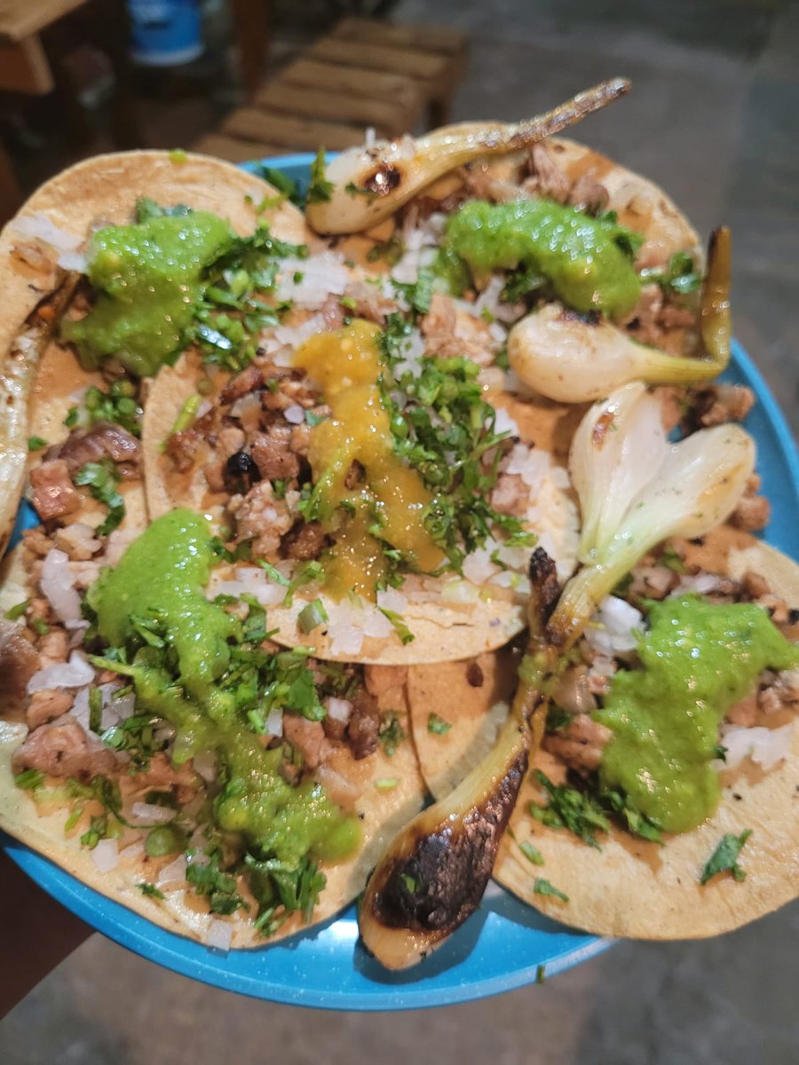 GaboHouse7's tweet photo. Unos Taquitos de  Tacos "El Gym" en #Xalapa https://t.co/pGSohv835F