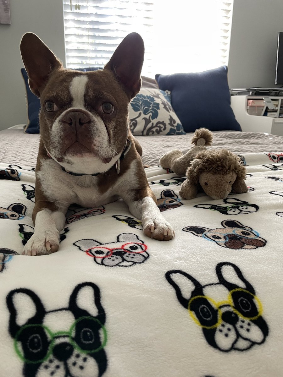 mactavilicious's tweet photo. @ABC7 https://t.co/OnzTUhNpCh