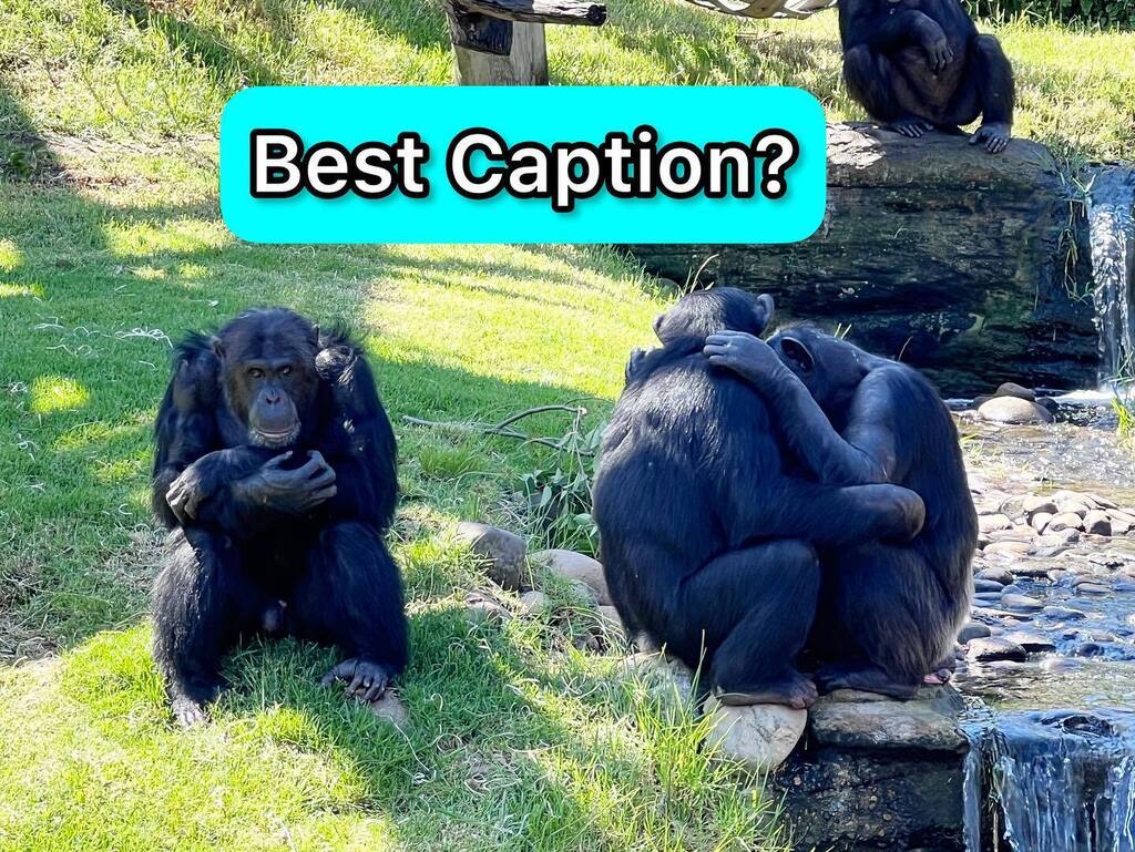 teamibrahimre's tweet photo. Send us your best caption! https://t.co/TsEd8WNouE