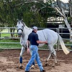 Photo by Off The Track Horses (@otthorses)