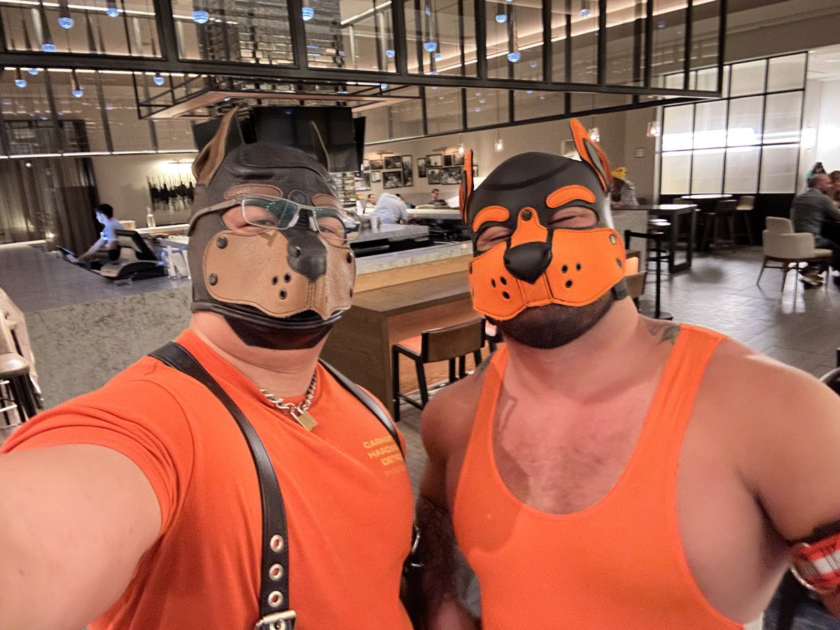 Moo. F on Twitter "National puppy day TBT, playing orange dogs with