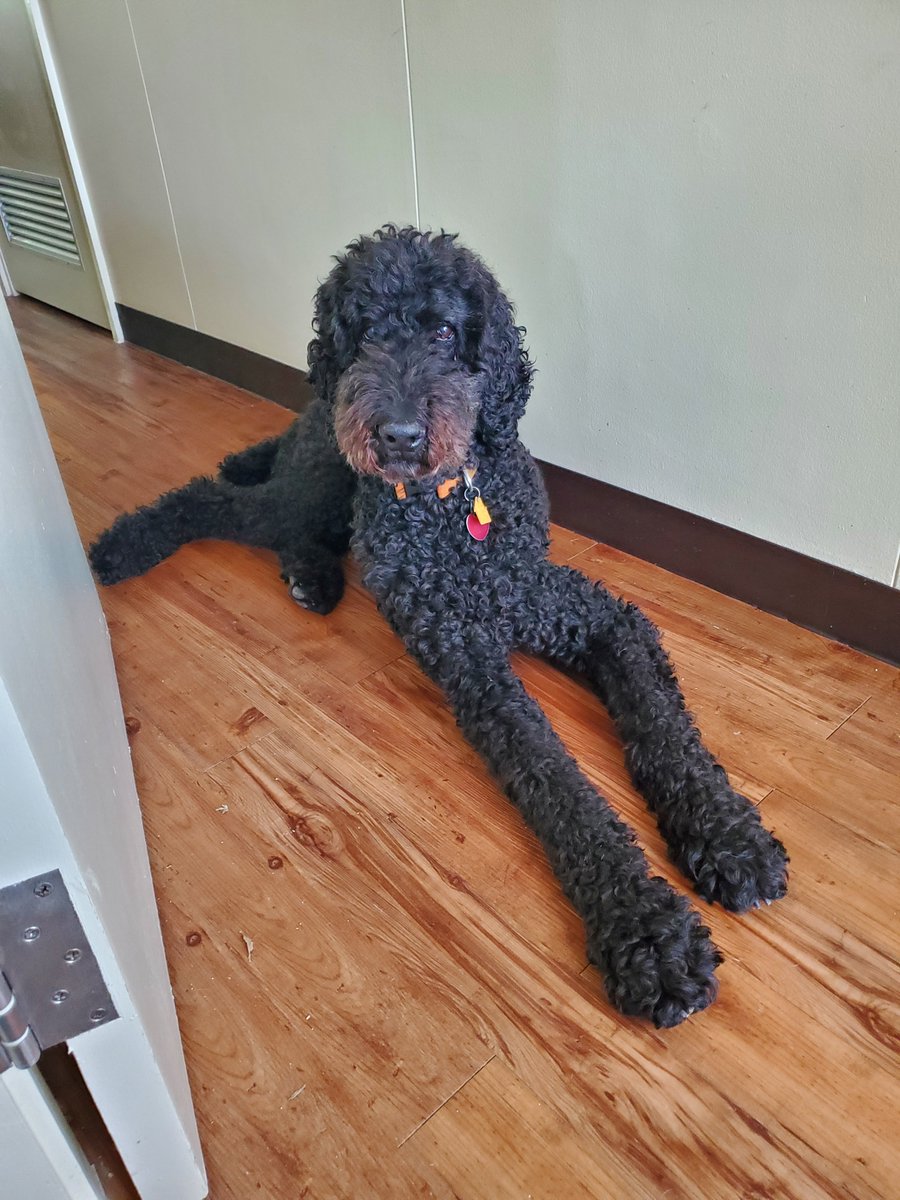 Mushfiqa Monica Jamaluddin tweet media