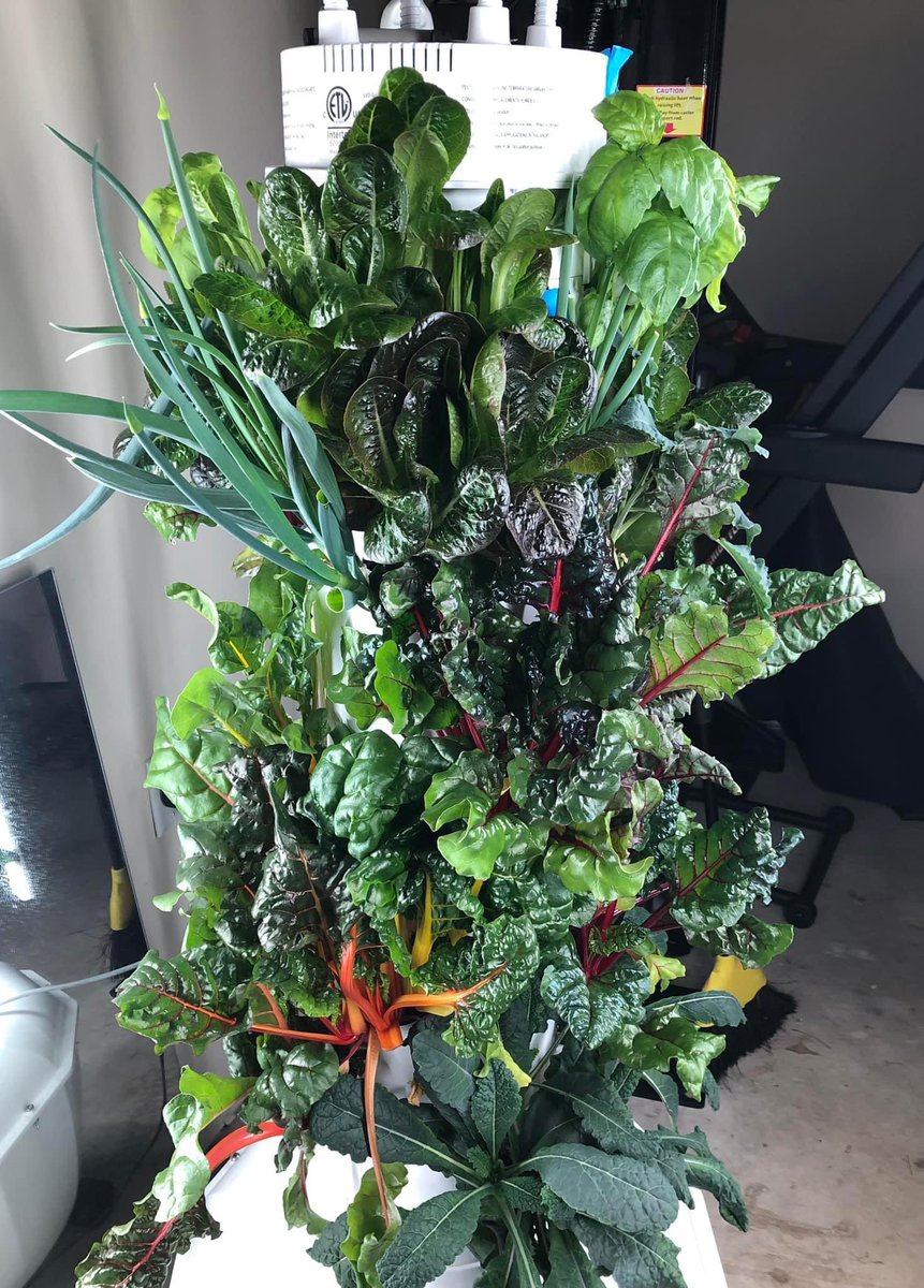 juicepluslisa's tweet photo. It’s time to think Spring! Grow inside or outside or BOTH. We have Tower Garden units for in-out-both. Check it out on  https://t.co/6I459ziCFV https://t.co/Zilb0cMNoJ
