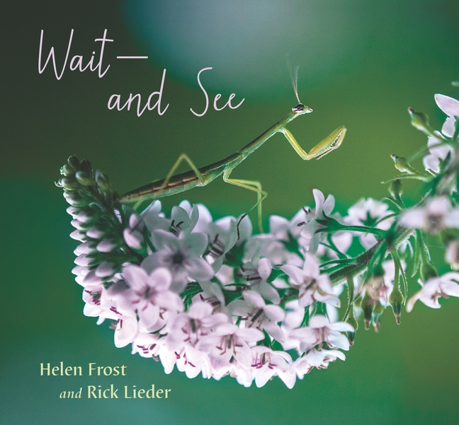 Libraries & Learning (@l2_s2s) on Twitter photo In this beautiful #NonFiction #PictureBook Wait -- and See, Helen Frost's #Poetry simply and succinctly provides advice on spotting the intriguing #PrayingMantis, captured in close-up photos by <a href="/bugdreams/">Rick Lieder</a> <a href="/Candlewick/">Candlewick Press</a> #NatLibReads In this beautiful #NonFiction #PictureBook Wait -- and See, Helen Frost's #Poetry simply and succinctly provides advice on spotting the intriguing #PrayingMantis, captured in close-up photos by <a href="/bugdreams/">Rick Lieder</a> <a href="/Candlewick/">Candlewick Press</a> #NatLibReads