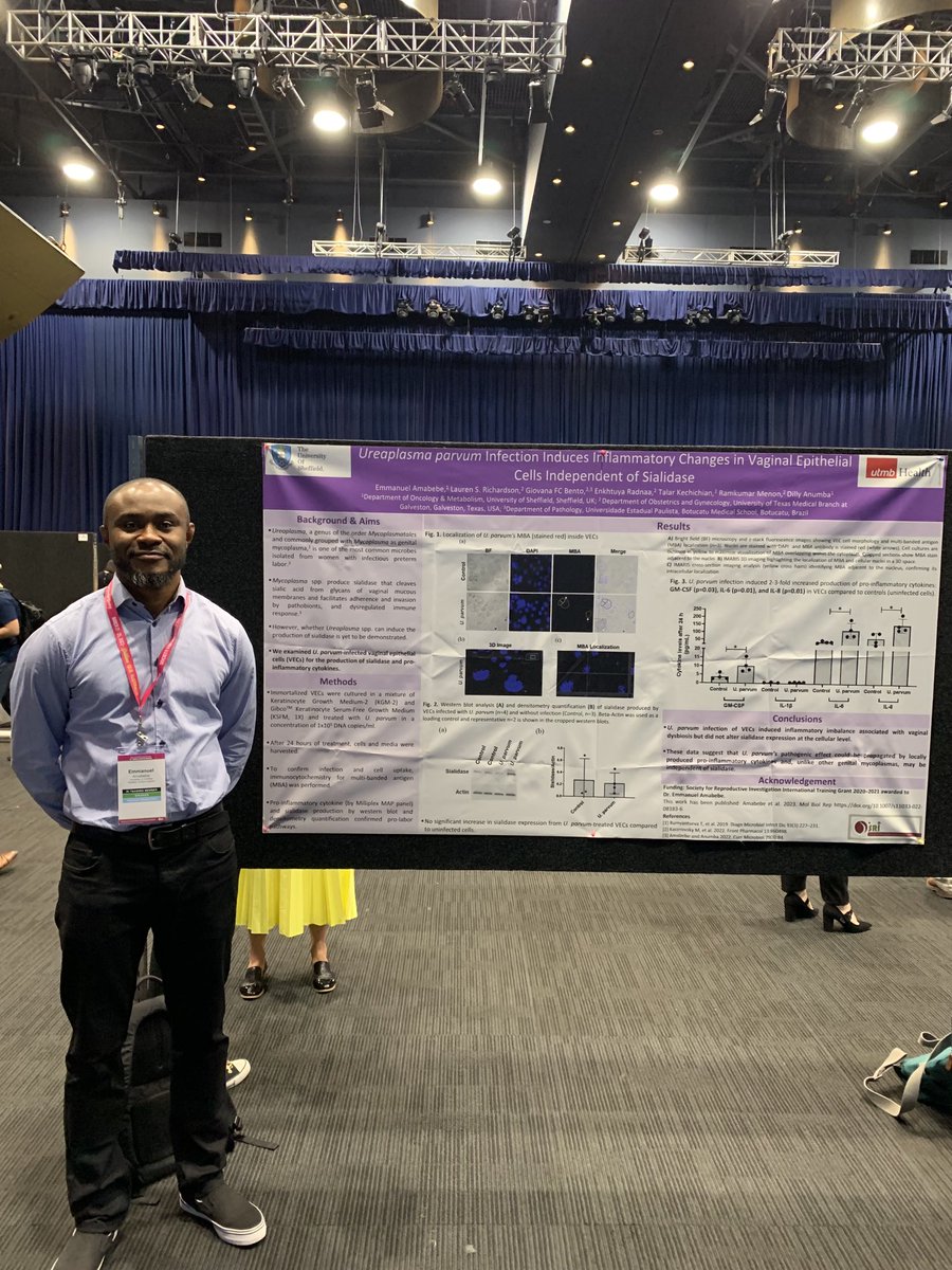 Ureaplasma parvum induce a pro inflammatory state independent of sialidase #SRI2023 ⁦@SRIWomensHealth⁩ ⁦@PRIMEGlobalH⁩ ⁦@ShefUni_OncMet⁩