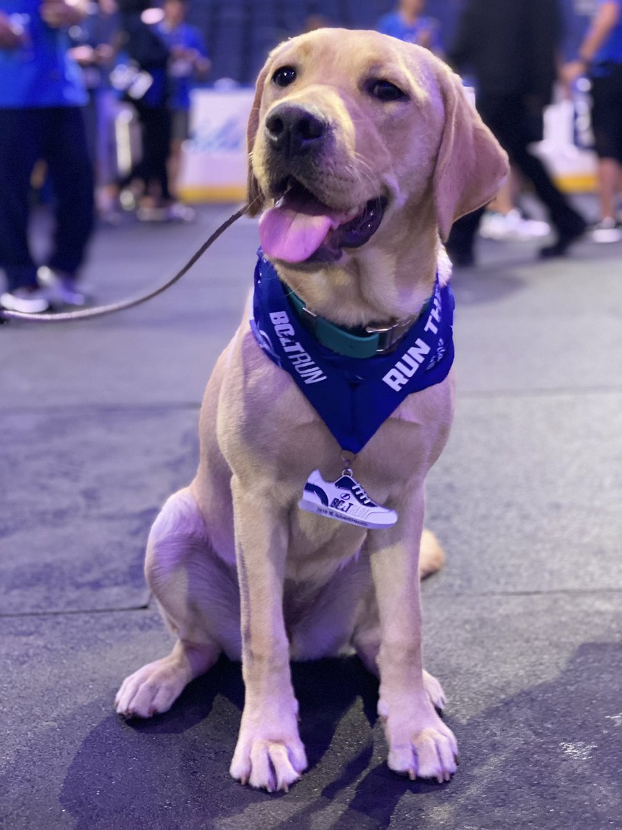 SherrieGip's tweet photo. @TBLightning https://t.co/gz9T3ZkVxC