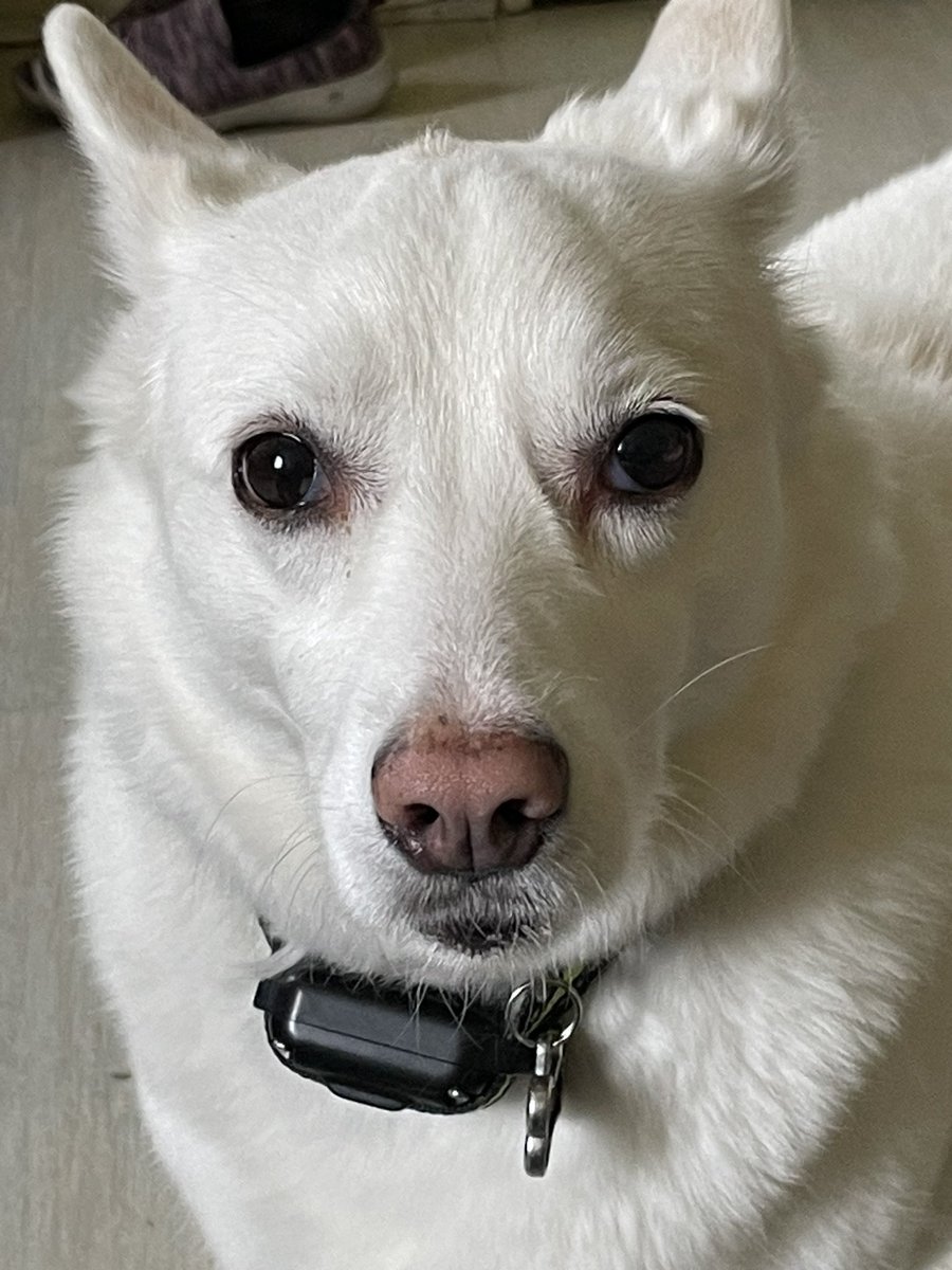 Barry Fitzgerald Sr tweet media