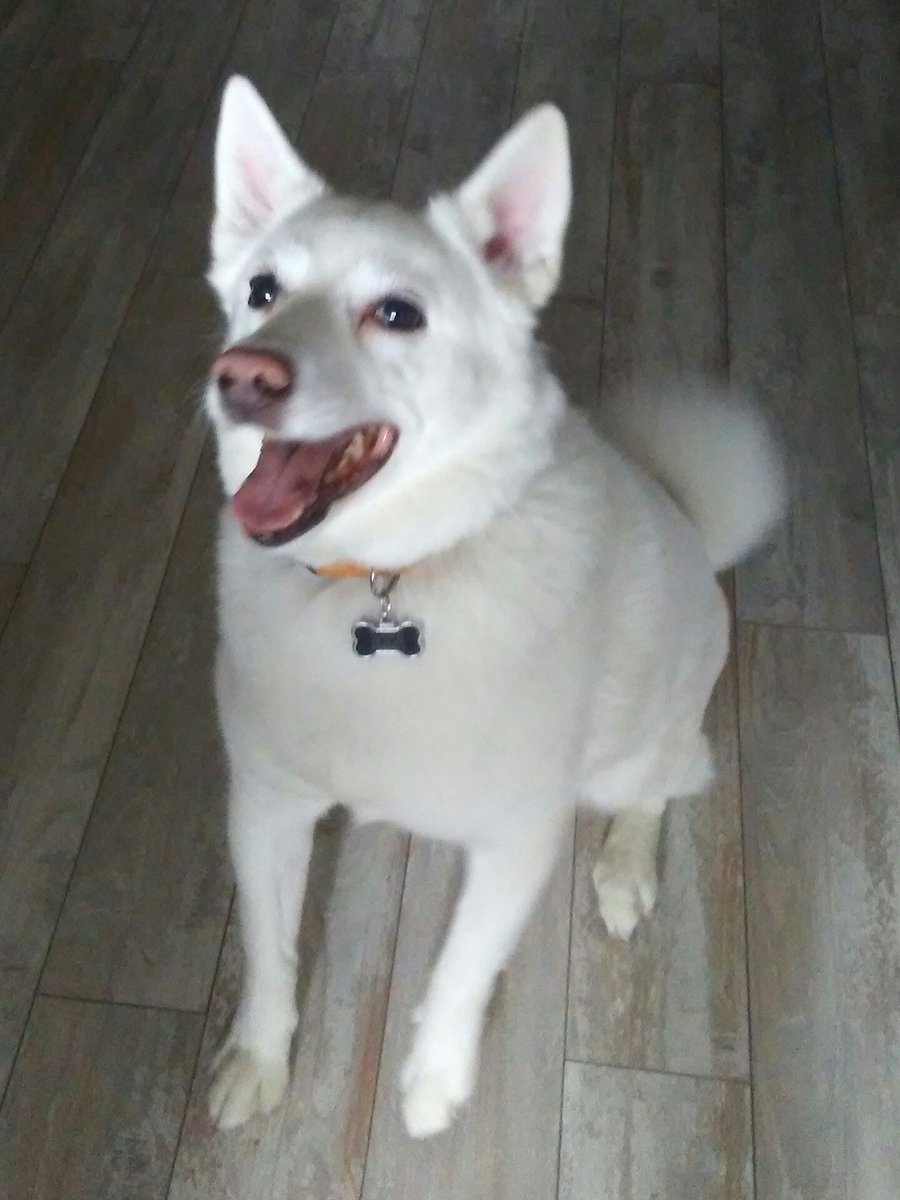 Barry Fitzgerald Sr tweet media