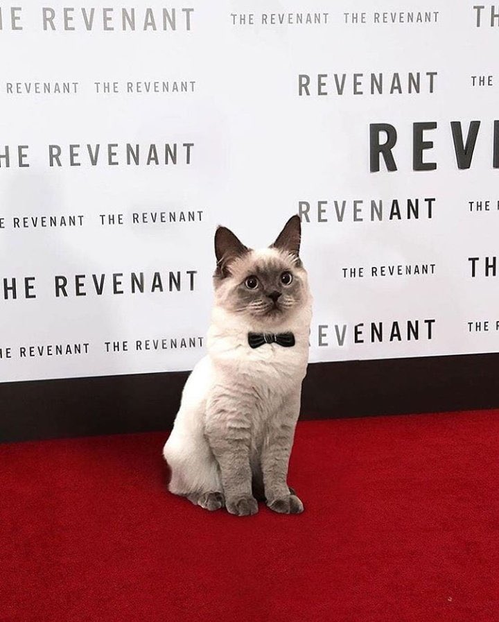 올해 최우수 배우상을 받을 후보인가봐