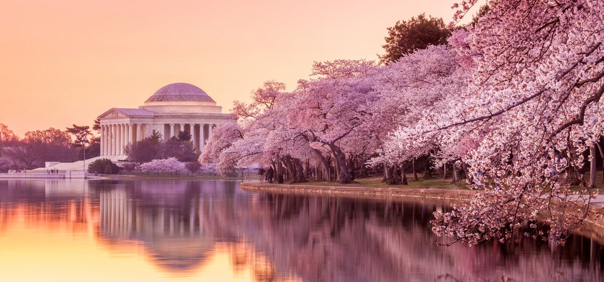 Visiting DC for the #CherryBlossoms? Book a Stay at this iconic Hotel - tinyurl.com/yr28pref. #Travel shouldn't be Expensive. #hoteldeals #Deals #familyfun #SpringBreak #vacationpackages #Tours