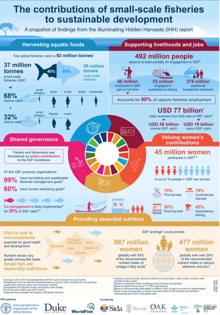 Great infographic on the diverse and significant contributions of small scale fisheries to sustainability 🐟🎣🐟
#SDGs #coastalcommunities #marineecosystems #fisheries #Sustainability #livelihood