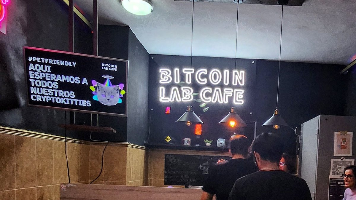 🦙 ola Puebla 😎