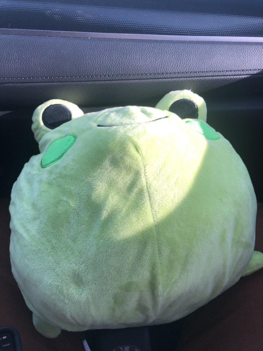 MoonJoonYoung's tweet photo. 1 more day til rave day! Going to beyond wonderland with this cutie https://t.co/9qTveFRUwC
