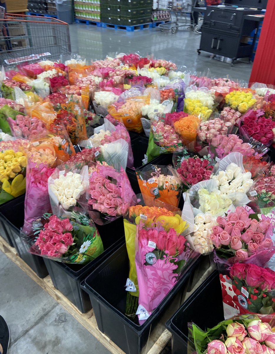 Te amo sección de flores del costco🤍