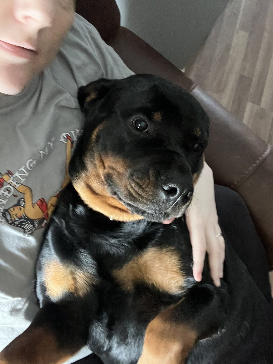 Jordan Bennett Shead tweet media