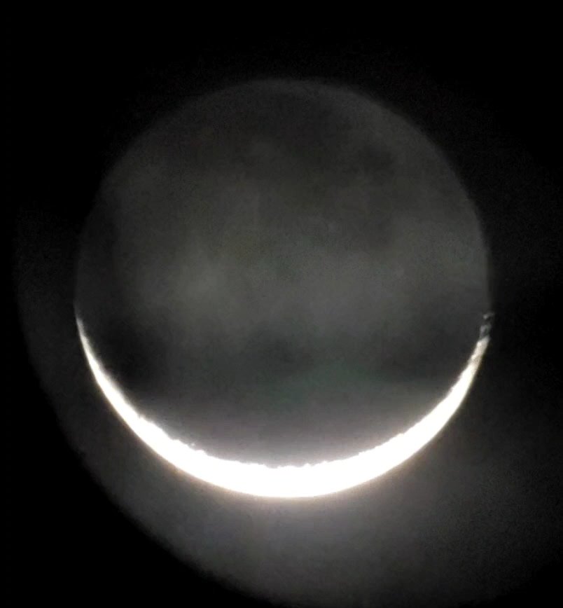 Saeed Saeed tweet media