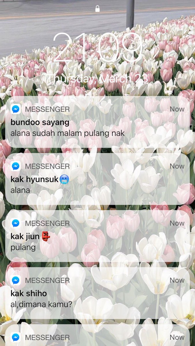 𝑅𝒶𝒶 🌷 tweet media