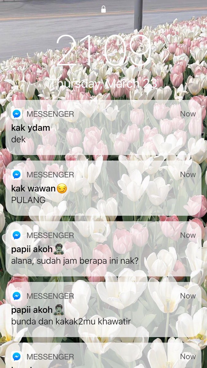 𝑅𝒶𝒶 🌷 tweet media