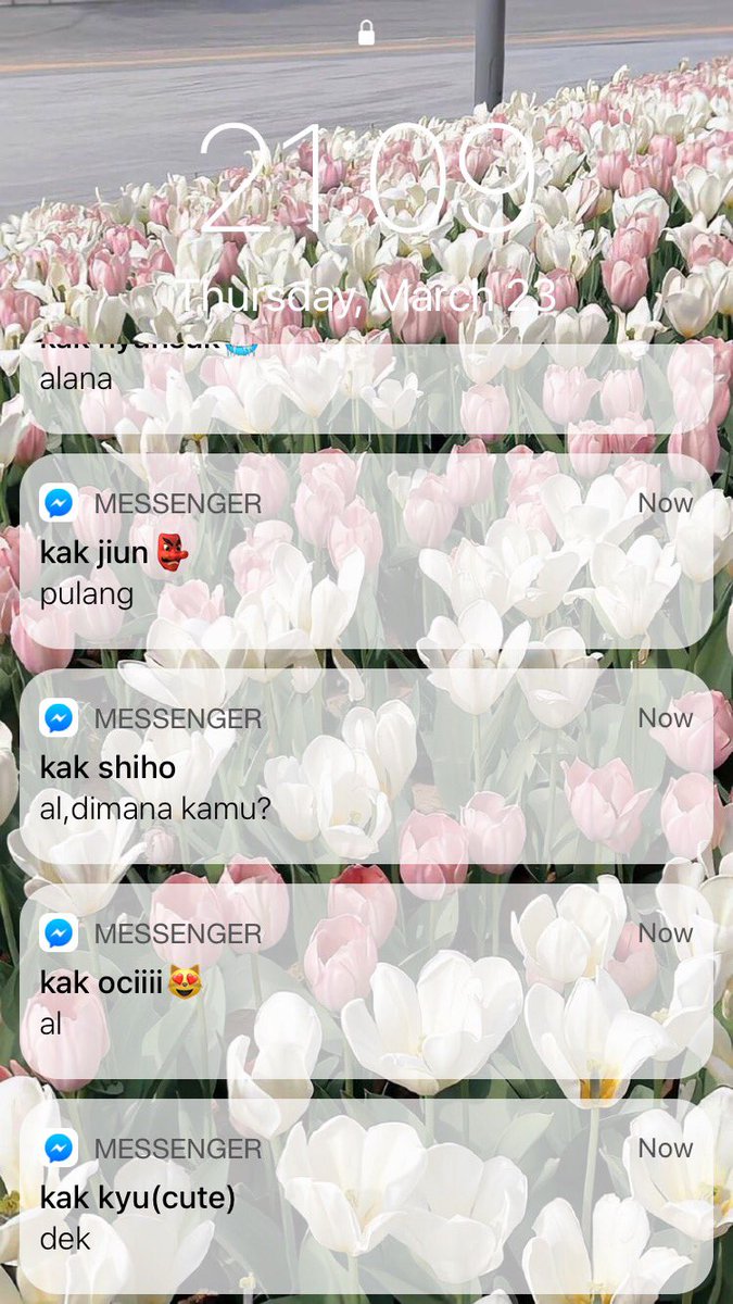 𝑅𝒶𝒶 🌷 tweet media