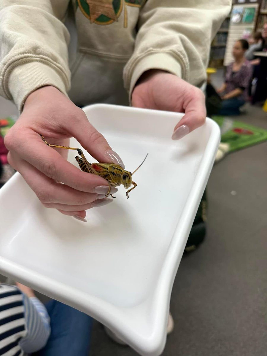 Taylore Tomlinson tweet media