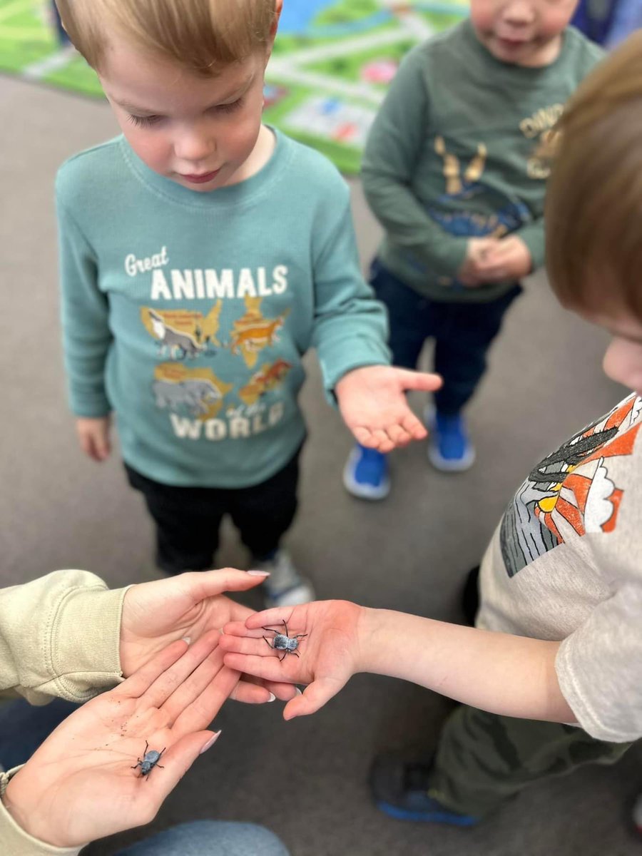 Taylore Tomlinson tweet media