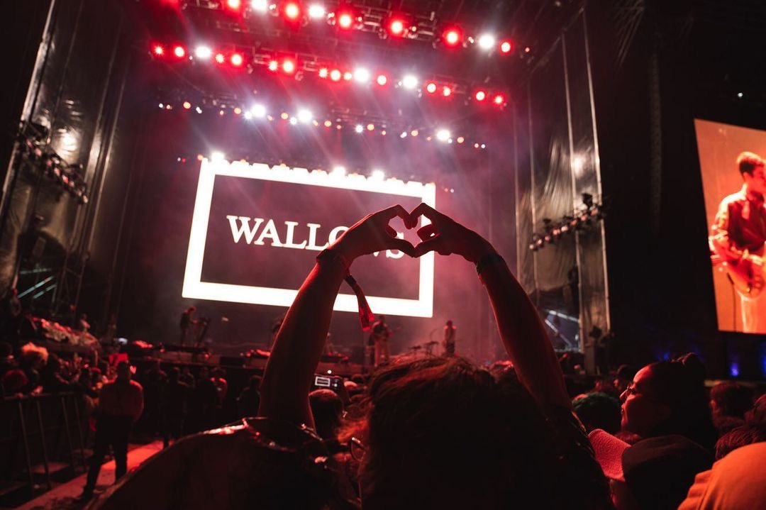 wallows archive tweet media