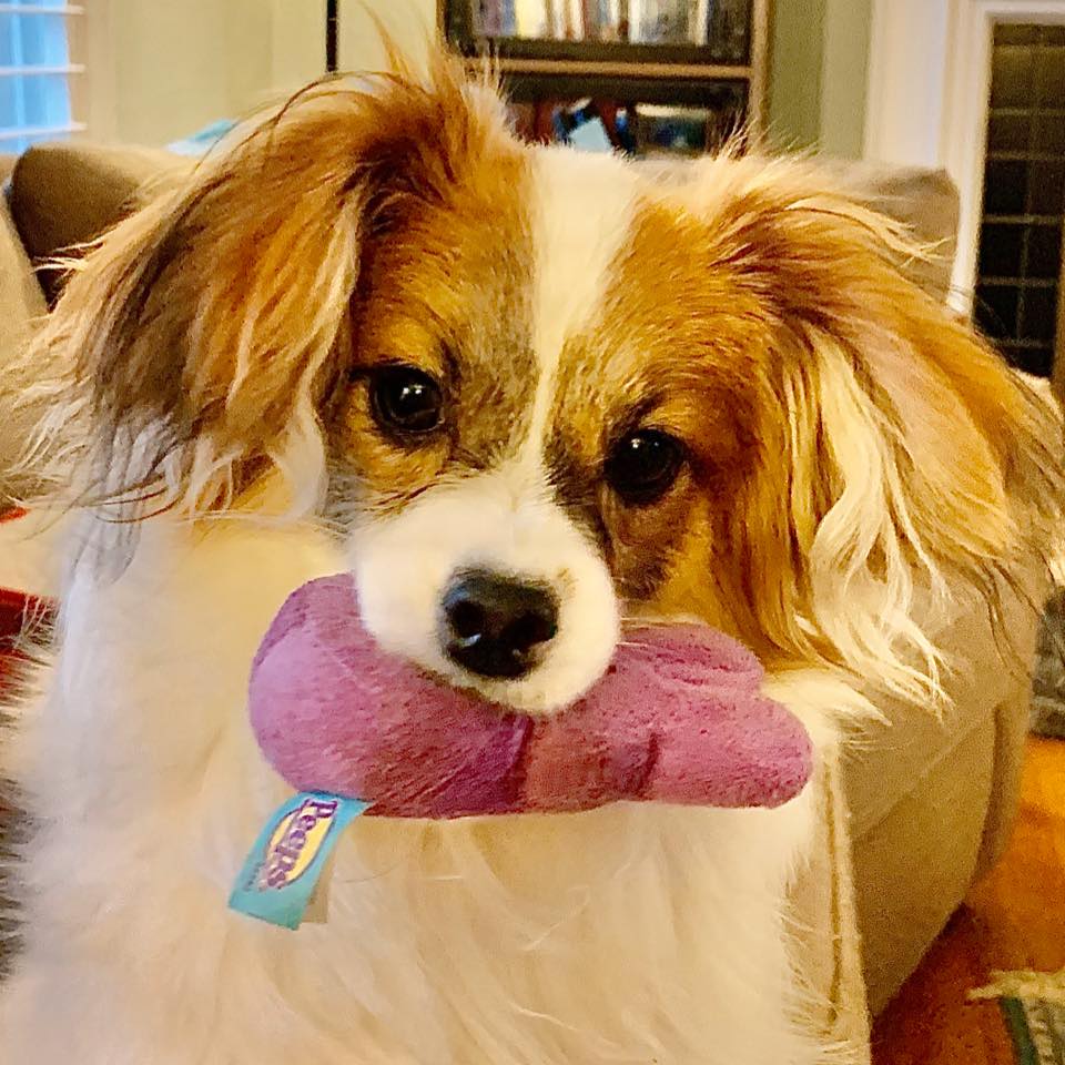 Dixie10e's tweet photo. @buitengebieden https://t.co/BFnkvjGAKi